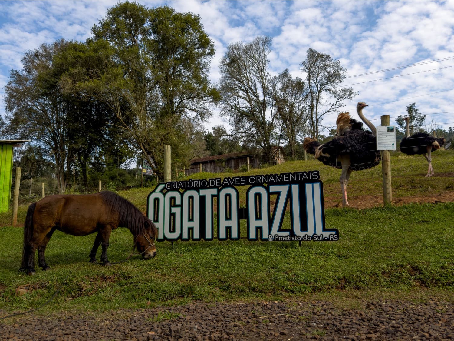 Foto 1 de Criatório Ágata Azul