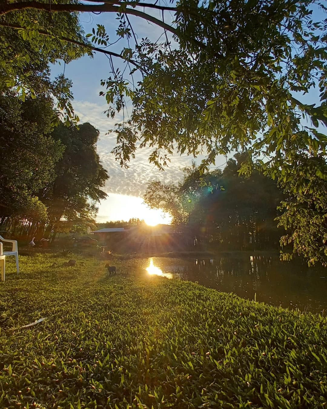 Foto 20 de Pousada Chácara Paraíso