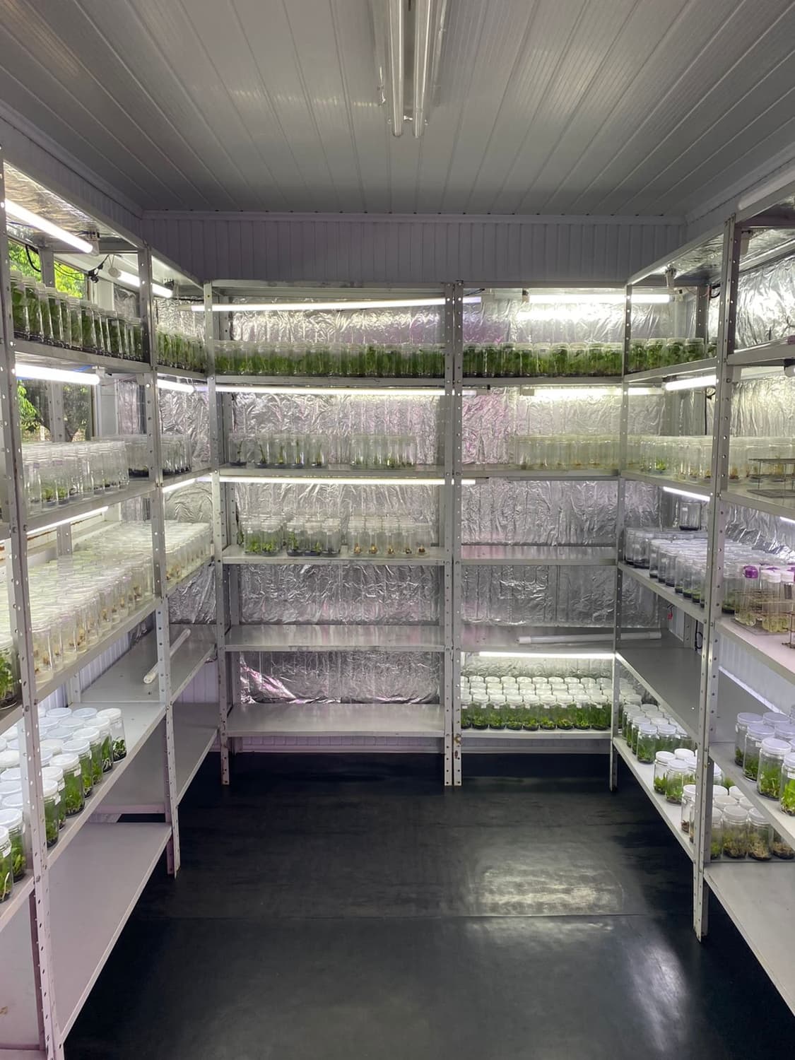 Foto 9 de Biofábrica Cooper Extremo Norte - Alpestre