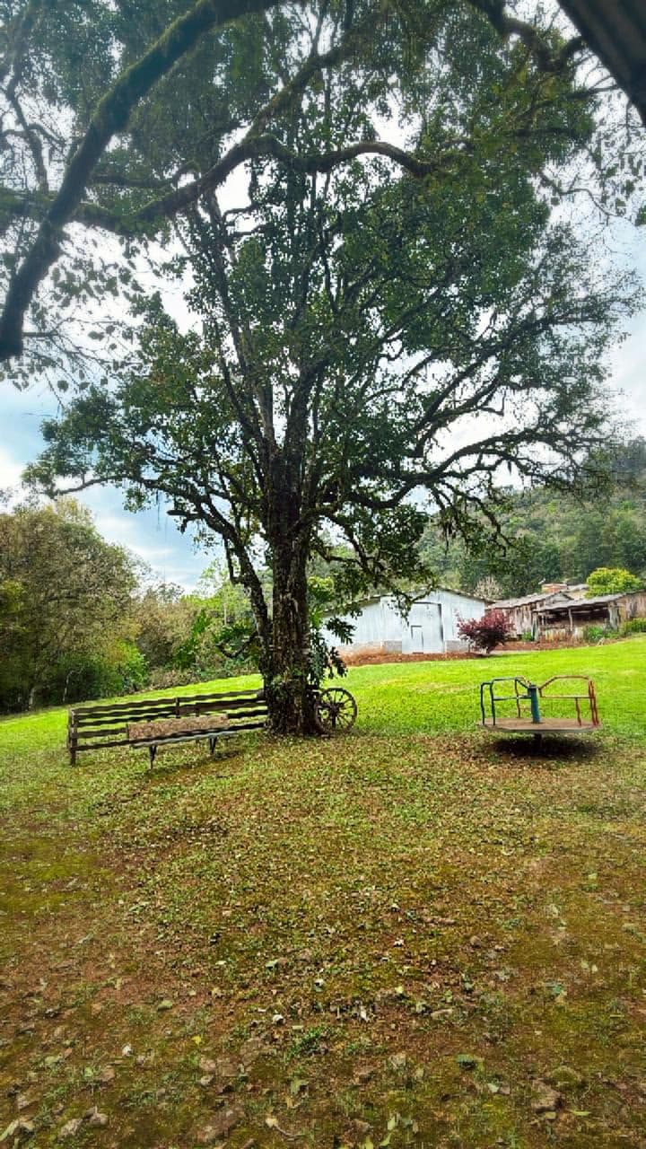 Foto 8 de Ecoparque Ogliari