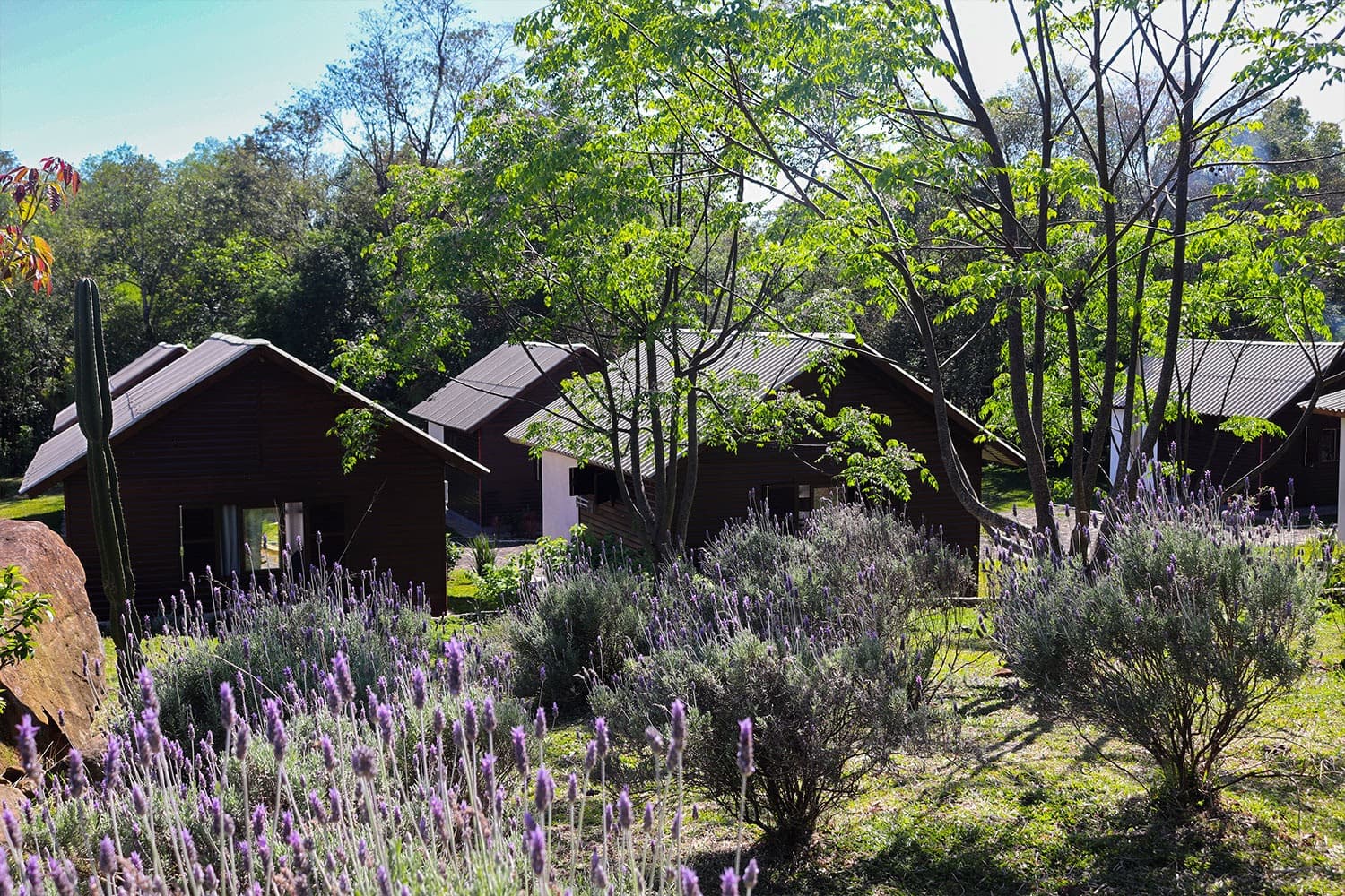 Foto 1 de Pousada Chácara Paraíso