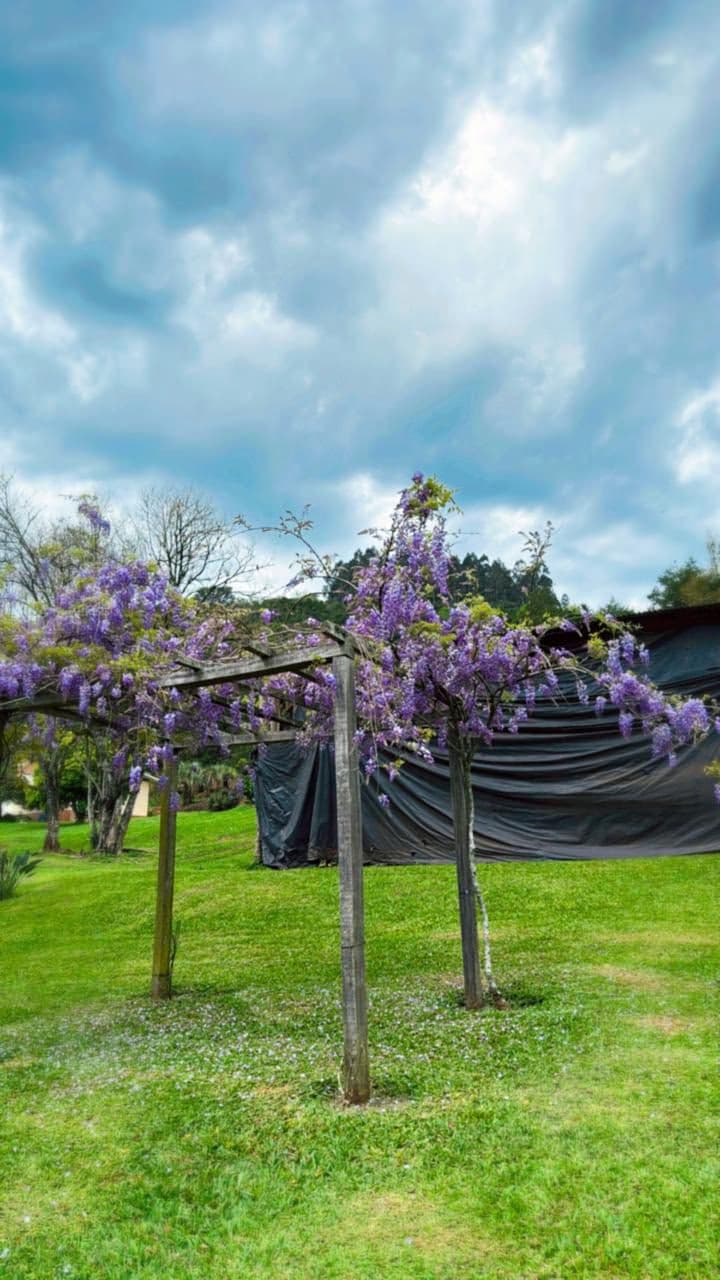 Foto 12 de Ecoparque Ogliari