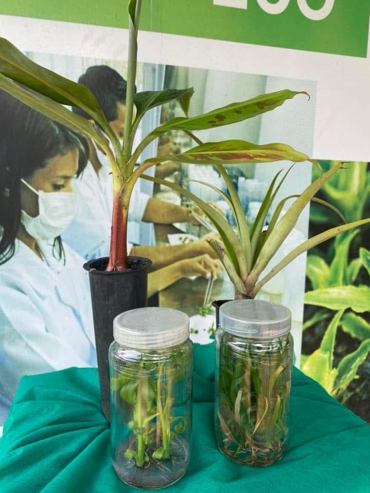 Foto 1 de Biofábrica Cooper Extremo Norte - Alpestre