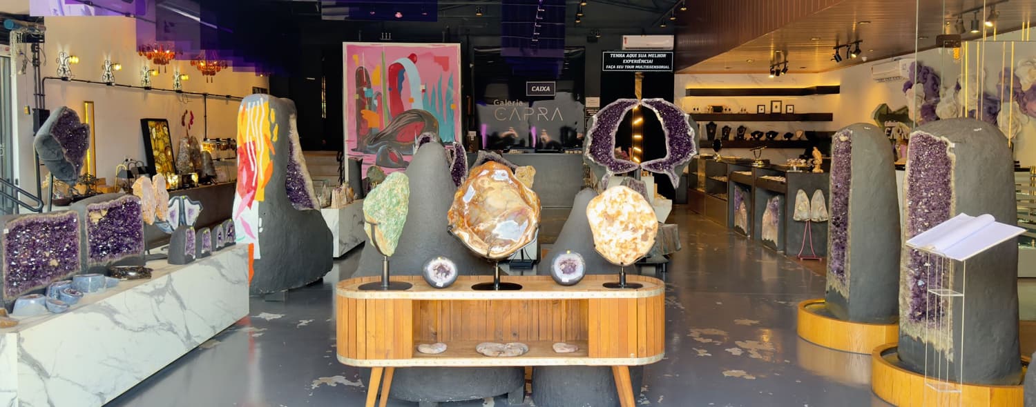 Galeria Capra
