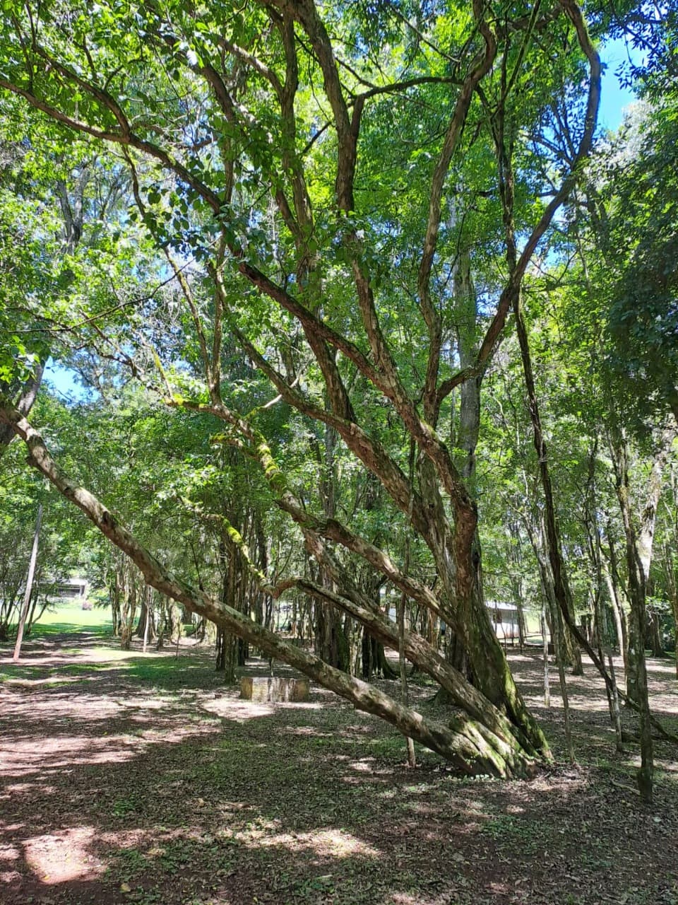 Foto 15 de Ecoparque Ogliari