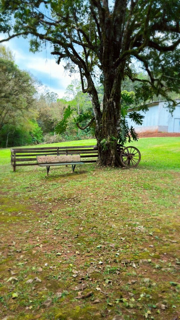 Foto 14 de Ecoparque Ogliari